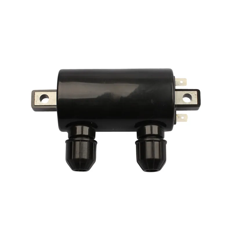 Preiswert Ignition coil universal 12 volt dual output