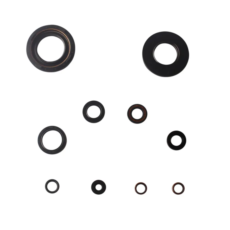 Expressversand Jeu de joints d'huile moteur pour Yamaha SR XT 500