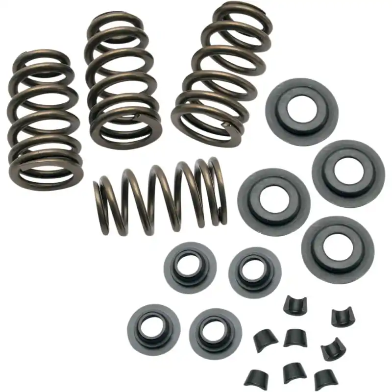 S&S CYCLE - FEDER KIT .650 84-04 Gratis Versand
