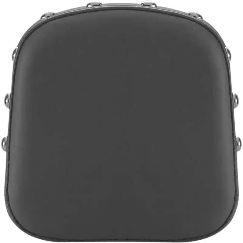 Finale Aktion SADDLEMEN - PAD SISSYBAR RENEGADE