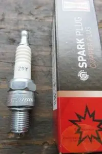 Champion Z9Y Lario Aktuell