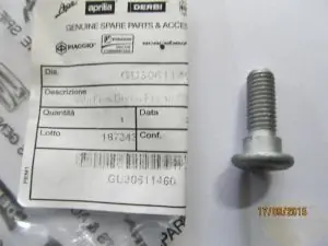 Versand Am Gleichen Tag Schraube Bremsscheibe hinten 1100 Sport