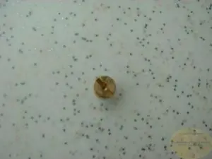 Vergaserdüse 5 mm 52 Kostenloser Rückversand