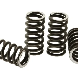 Kupplungsfedernsatz Top Performances Geprüft