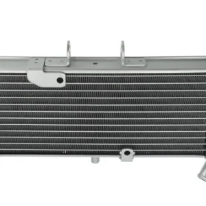 Begrenztes Angebot Kühler Aprilia TNT