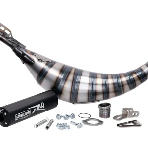 Top-Angebot Auspuffanlage Yasuni R4 Max Carrera