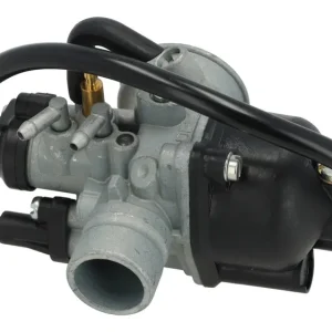 Highlight Vergaser Dellorto