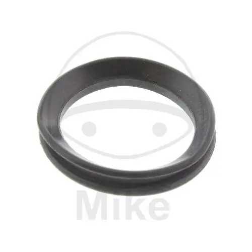 Expressversand DICHTR SCHWINGE OE